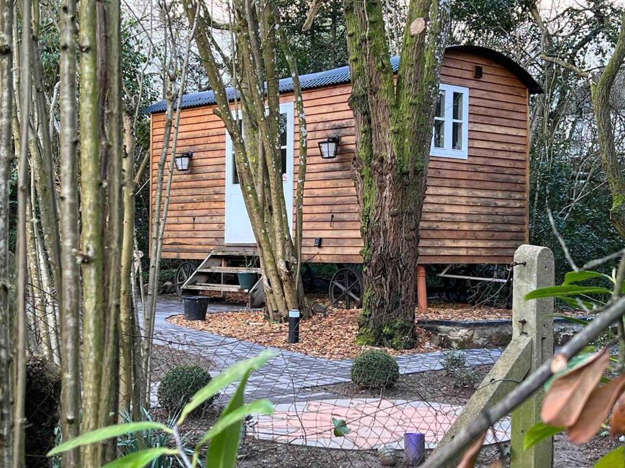 Tranquil Spot Shepherds Hut Cinderford Zewnętrze zdjęcie